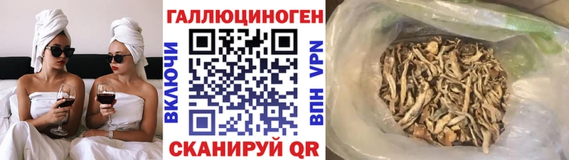OMG ONION Черемхово Псилоцибиновые грибы Psilocybe наркошоп